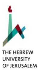 Hebrew U